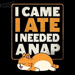 Graphic for I Needed a Nap