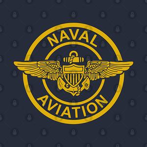 Graphic for Naval Aviation Pilot Wings