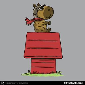 Graphic for Snoopybara