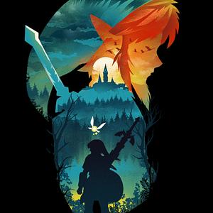 Graphic for Hyrule Hero