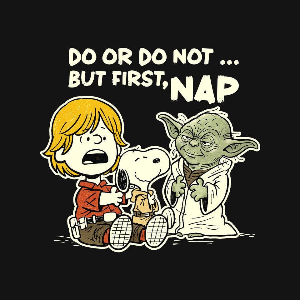 TeeFury: But First Nap