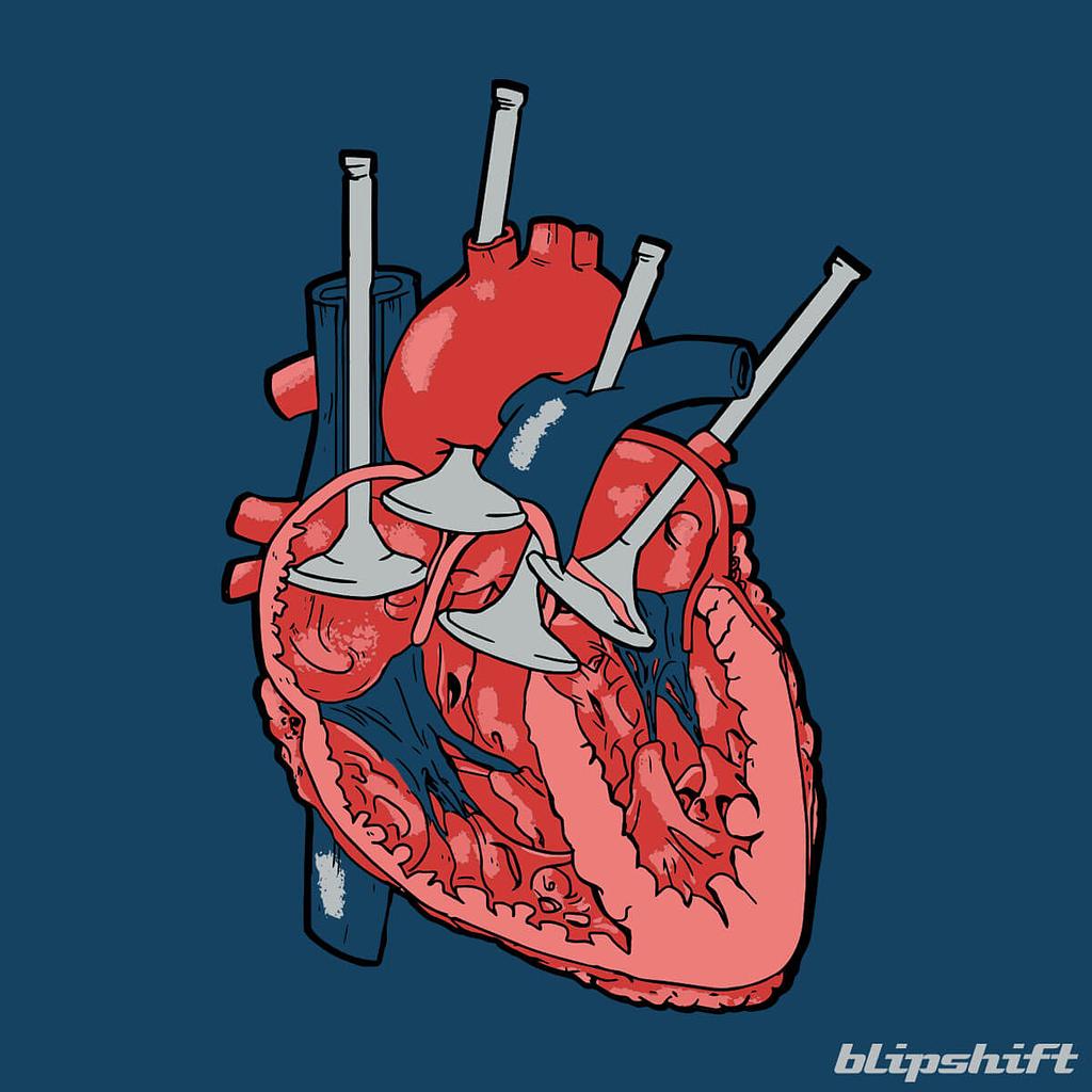 blipshift: Cardiovalveular III