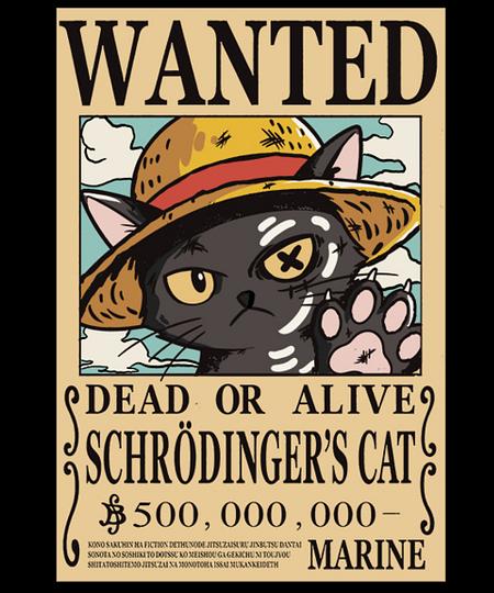 Qwertee: Schrödinger cat pirate