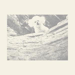 Graphic for Silence Of The Lambs dog
