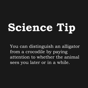 Graphic for Crocodile Alligator Funny Science tip