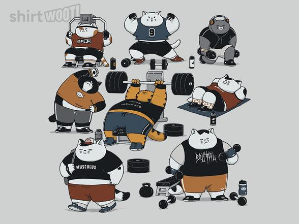 Woot!: Cat Gym