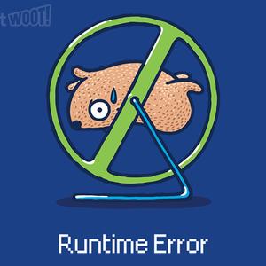Graphic for Runtime Error