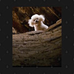 Graphic for THE SILENCE OF THE LAMBS DOG PRECIOUS