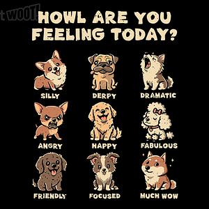 Graphic for Howl Are You Feeling?