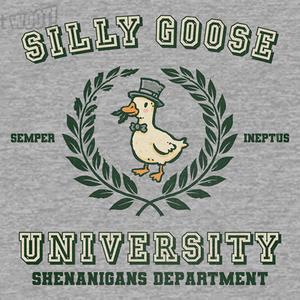 Graphic for Silly Goose University