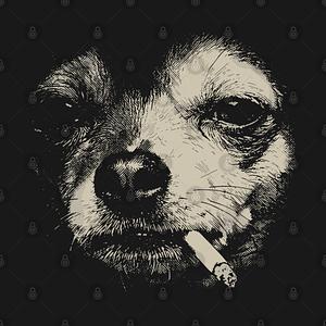 Graphic for Dog Smoking Cigarette Funny Chihuahua Meme