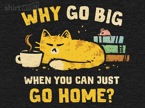 Woot!: Just Go Home