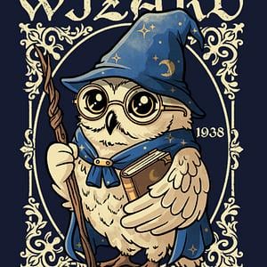 Graphic for Owl wizard Merlin