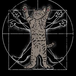 Graphic for vitruvian cat