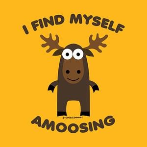 Graphic for AMOOSING