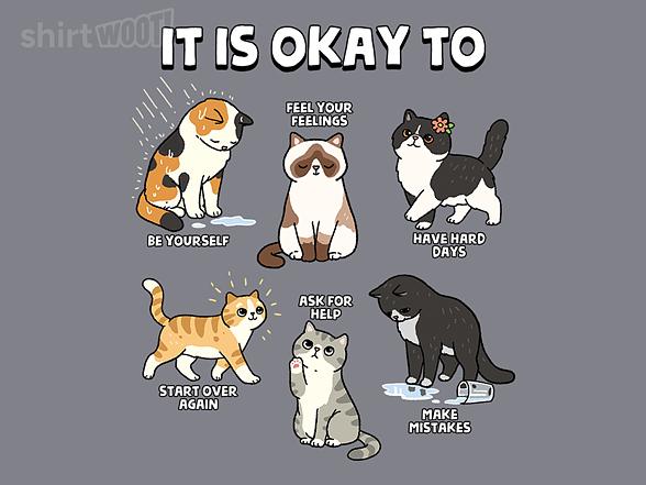 Woot!: It Is Okay To