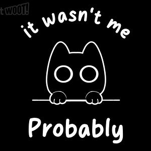 Graphic for It Wasn't Me! Probably
