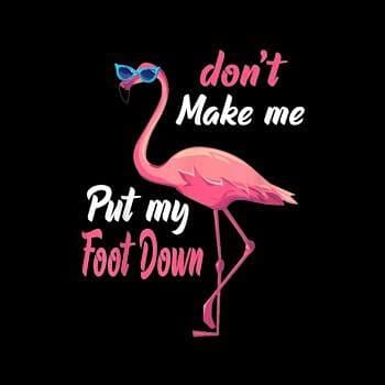 BustedTees: Pink Flamingo Don't Make Me Put My Foot Down Hoodie