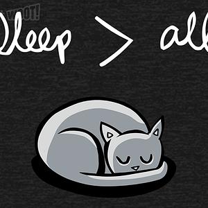 Graphic for Sleep Trumps All Remix