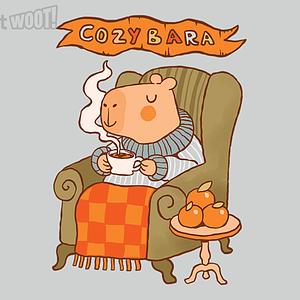 Graphic for Cozybara Remix