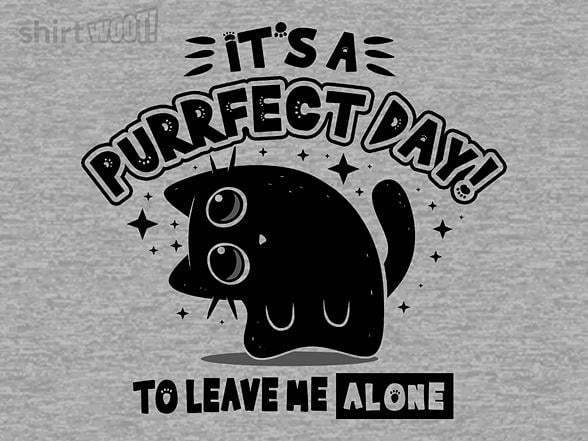 Woot!: It's A Purrfect Day To Leave Me Alone