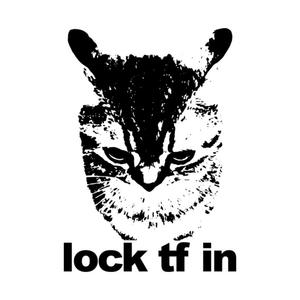 Graphic for Lock TF In Cat