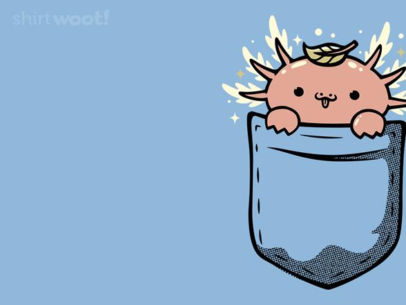 Woot!: Pocket Axlot