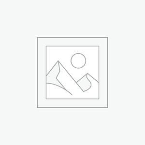 Graphic for Hide and Seek Anti Social Club