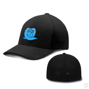 Graphic for Custom Blue Logo Flexfit Hats