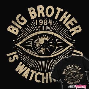 Graphic for Big Brother Is Watching You