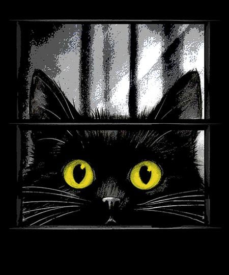 Qwertee: Creepy cat