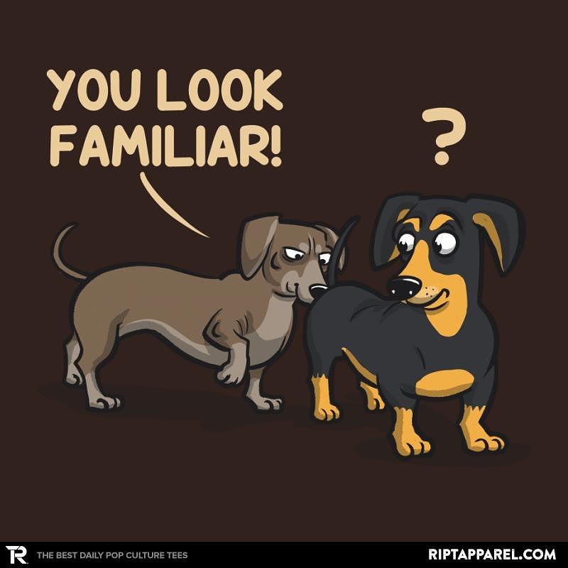 Ript: You Look Familiar