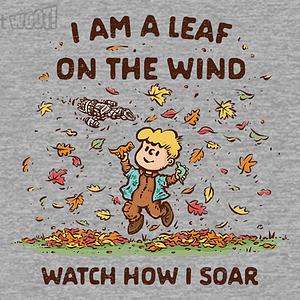 Graphic for Autumn Leaves On The Wind