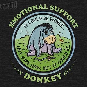 Graphic for Emotional Support Donkey
