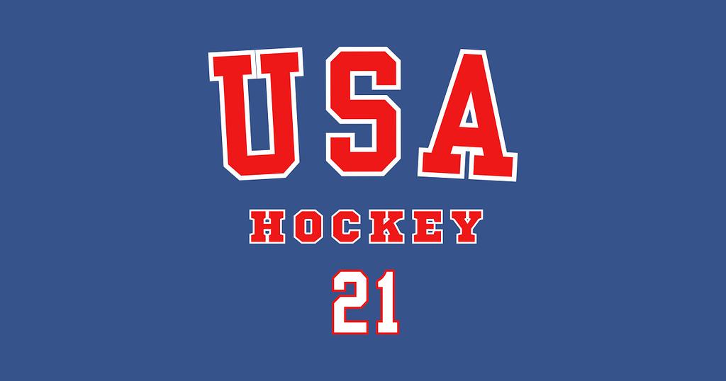 TeePublic: Hilary Knight Team USA Women's Hockey Jersey 21
