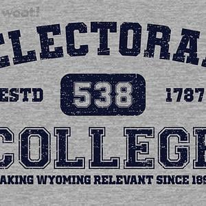 Graphic for The Electoral College
