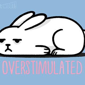 Graphic for Overstimulated Bunny