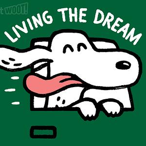 Graphic for Dog Days