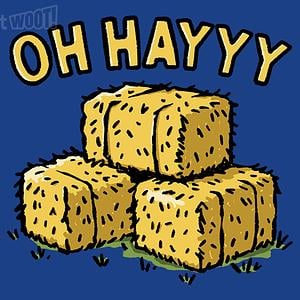 Graphic for OH HAYYY