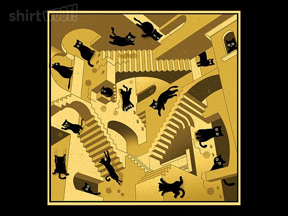 Woot!: Relativity Cats
