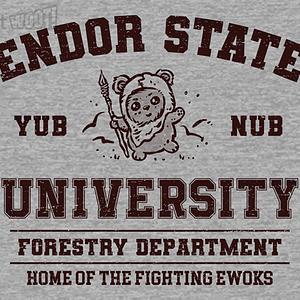 Graphic for Endor University