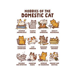 Graphic for Cat Hobbies