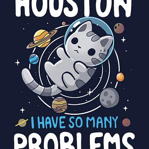 Graphic for Houston we have many problems
