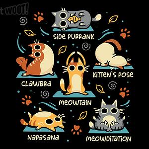 Graphic for Cat Yoga Poses
