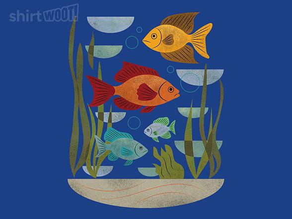 Woot!: Fish in an Aquarium