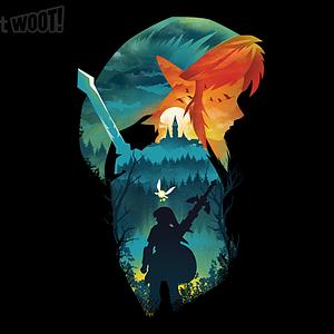 Graphic for Hero of Hyrule