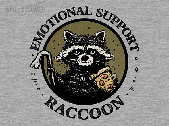 Woot!: Emotional Support Raccoon