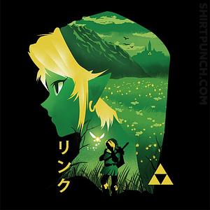 Graphic for Hyrule Hero