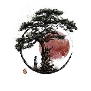 Graphic for Sunset in Huangshan