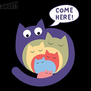 Graphic for Come Here Kitten